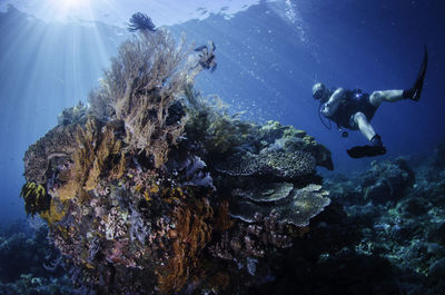 Man scuba diving undersea