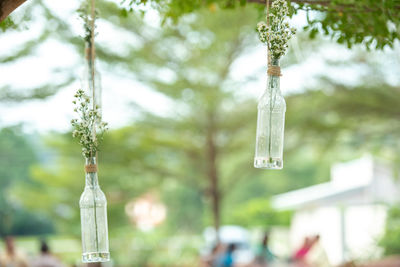 Close-up of cross hanging on tree