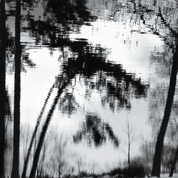 Reflection of trees in lake against sky