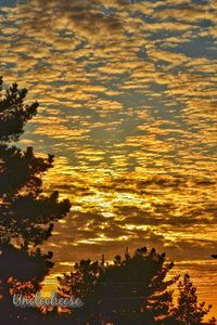 Scenic view of sunset sky