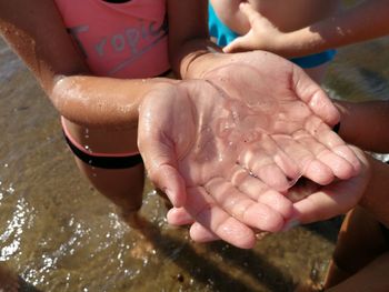 Close-up of girl holding jellyfish at beach