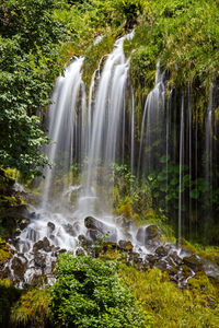 Scenic view of waterfall in forest