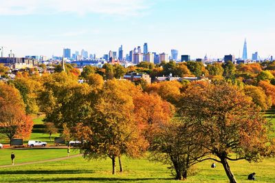 Trees and cityscape against sky