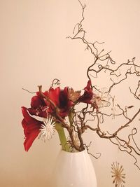 Close-up of red roses in vase