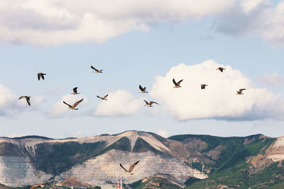 Birds flying over mountains against sky