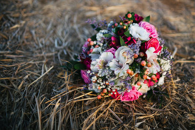 Close-up of flowers