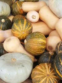 Close-up of pumpkins