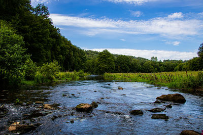 Scenic view of river in forest against sky