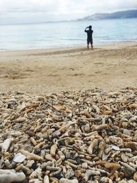 Rear view of man standing at beach against sky