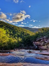 Scenic view of river amidst trees against sky