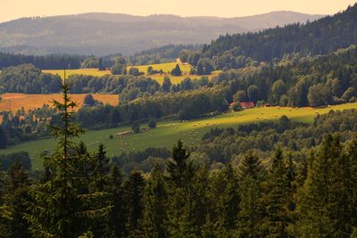 Scenic view of green landscape against sky during sunset