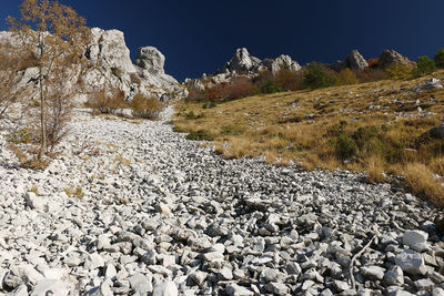 Surface level of rocks against clear sky