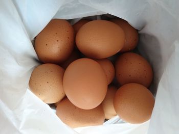 1 kg egg bought from supermarket in the evening