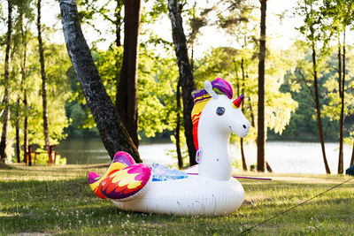 Close-up of bird in park