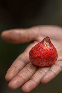 Close-up of hand holding strawberry over black background