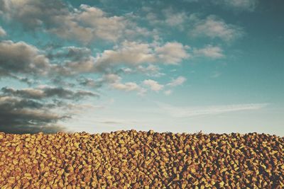 Scenic view of landscape against cloudy sky