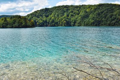 Scenic view of lake in forest against sky