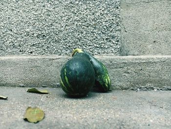 Close-up of pumpkin