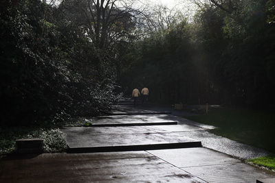 Footpath amidst trees in forest