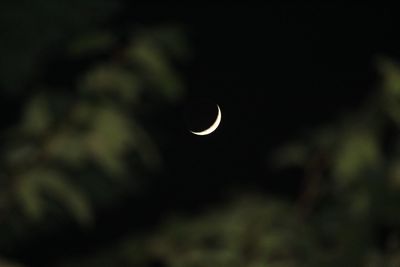 View of moon in sky