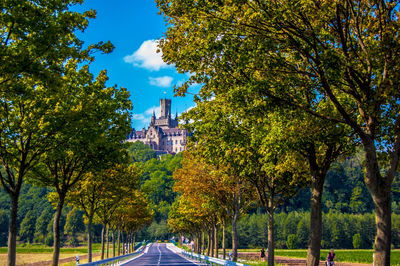 Road amidst trees leading towards marienburg castle