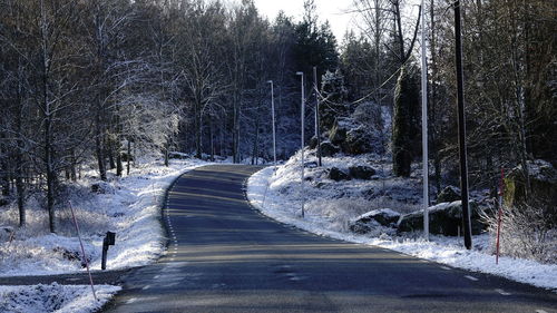 Snow covered road amidst trees in forest