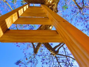 Low angle view of trees against blue sky
