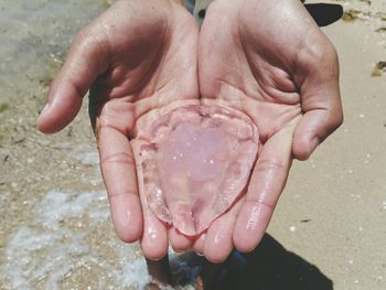 Close-up of hands holding water at beach