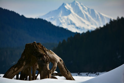 Close-up of snow on mountain against sky