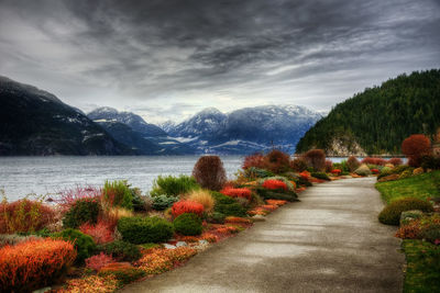 Scenic view of lake by trees against sky