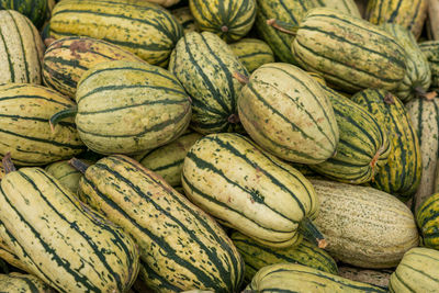 Full frame shot of pumpkins for sale at market stall