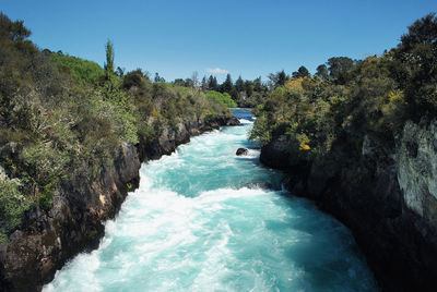 Scenic view of river amidst trees against clear blue sky