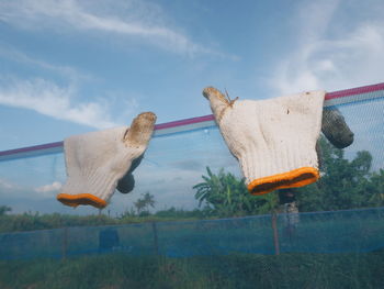 Low angle view of horse hanging against sky