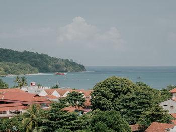 High angle view of plants by sea against sky