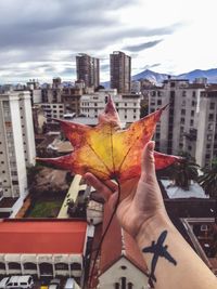 Person holding maple leaf against buildings in city during autumn