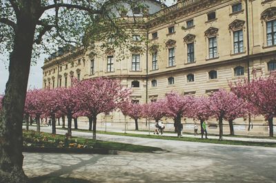 View of flowers in front of building