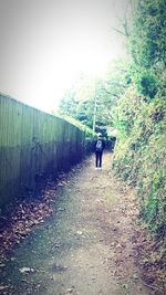 Rear view of woman walking on road