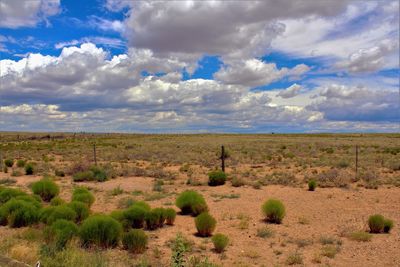 Scenic view of landscape against cloudy sky