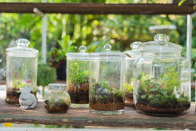 Close-up of jar against trees