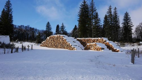 Scenic view of snow covered field against sky