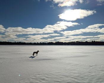 Silhouette person in lake against sky during winter