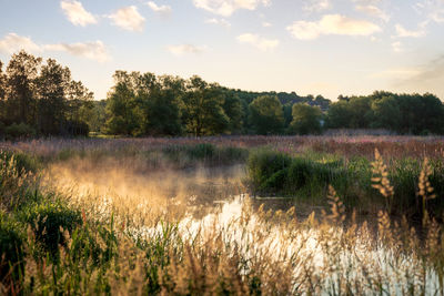 Scenic view of lake against sky