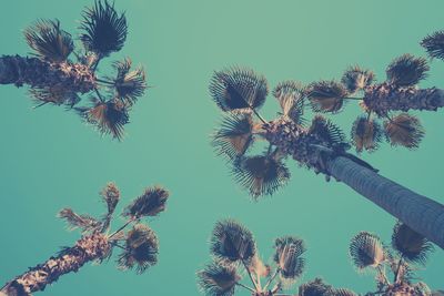 Low angle view of flowering plants against clear blue sky