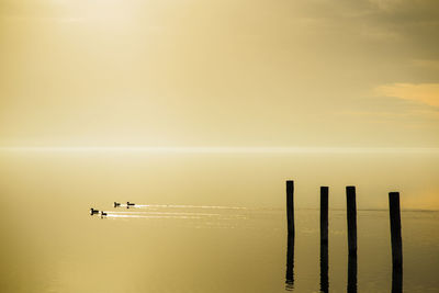 Silhouette wooden posts in sea against sky