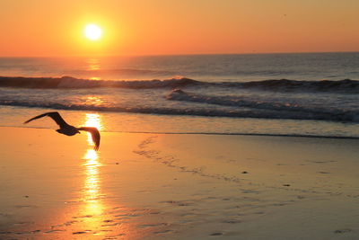 Silhouette man on beach against orange sky during sunset