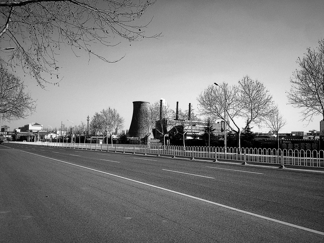 clear sky, built structure, the way forward, architecture, building exterior, transportation, road, tree, street, copy space, road marking, diminishing perspective, sky, bare tree, city, vanishing point, outdoors, street light, empty, empty road