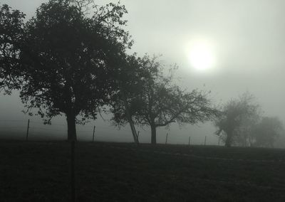 Silhouette trees on field against sky during foggy weather