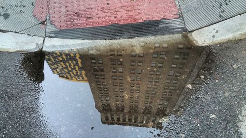 Reflection of trees in puddle