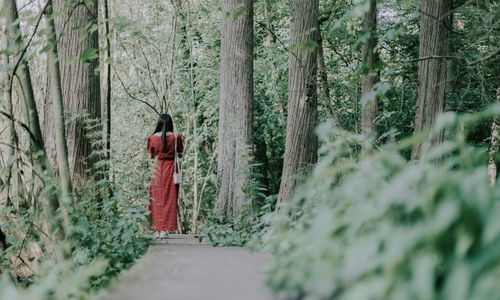 Portrait of a brunette girl in a red dress in the forest.