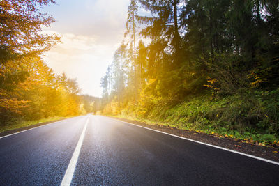 Country road amidst trees against sky